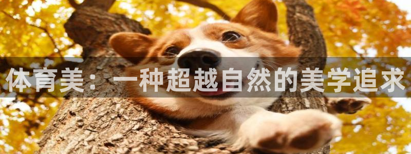 betway西汉姆官网