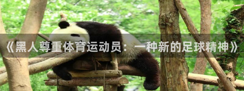 必威betway西汉姆联