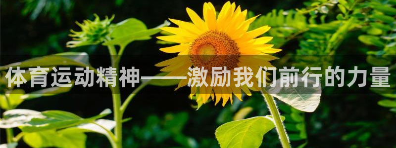 betway西汉姆