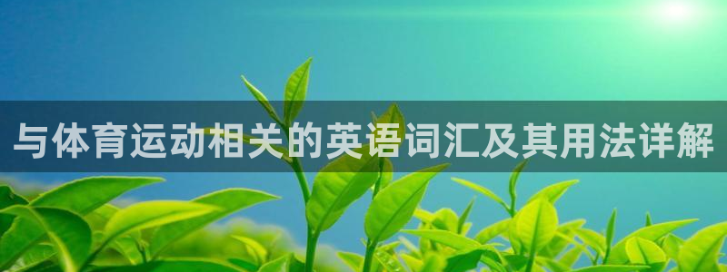 betway西汉姆联官网：与体育运动相关的英语词汇及其用法详解