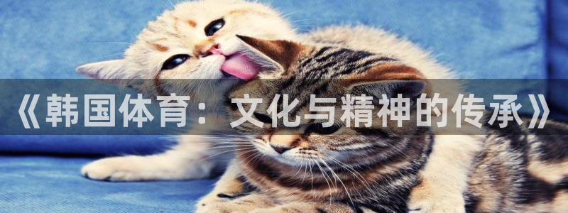 betway西汉姆联：《韩国体育：文化与精神的传承》