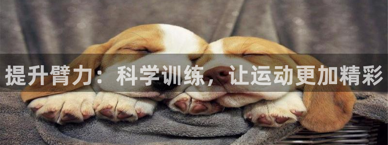betway西汉姆：提升臂力：科学训练，让运动更加精彩
