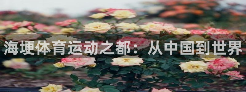 betway西汉姆联