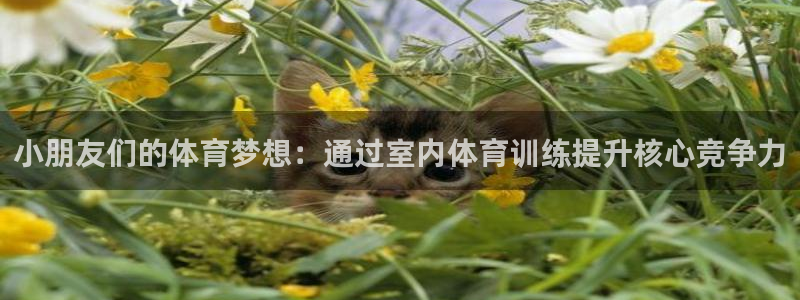 betway西汉姆：小朋友们的体育梦想：通过室内体育训练提升核心竞争力