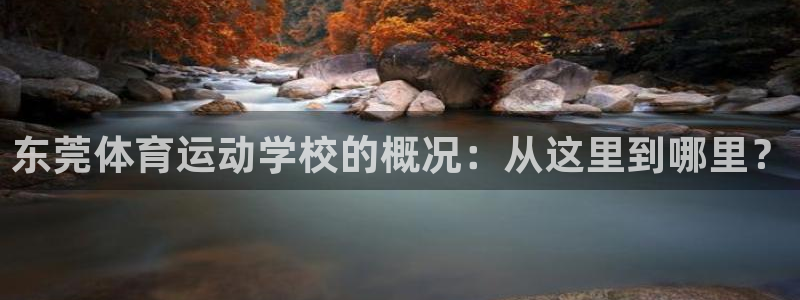 betway西汉姆联官网：东莞体育运动学校的概况：从这里到哪里？