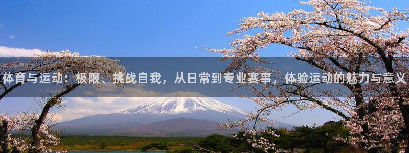 betway西汉姆联官网：体育与运动：极限、挑战自我，从日常到专业赛事，体验运动的魅力与意义