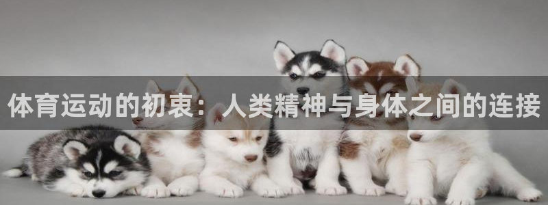 betway西汉姆联：体育运动的初衷：人类精神与身体之间的连接